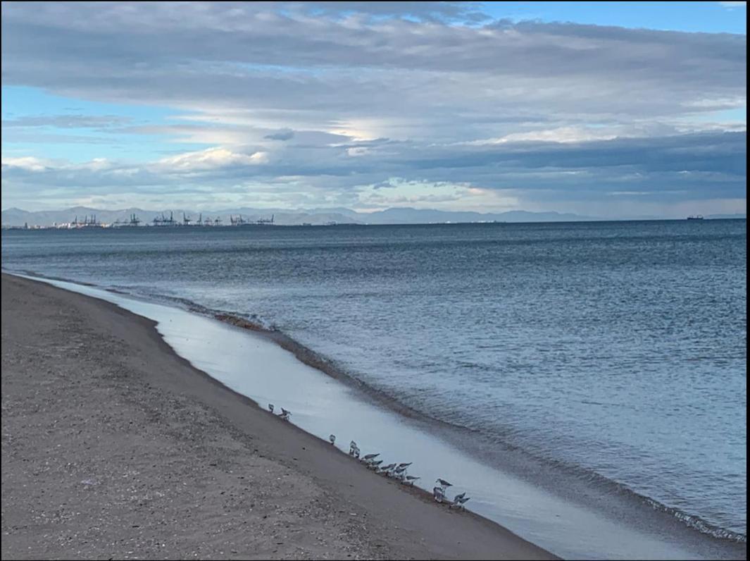 Beach Retreat Валенсия Екстериор снимка